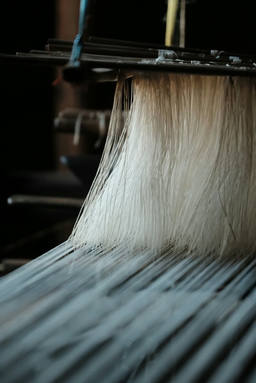 Loom machinery
